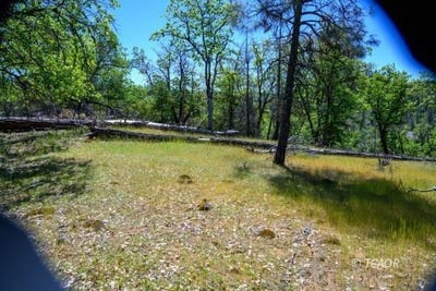 /international/us/230-shasta-springs-rd-weaverville-ca-110101979889/