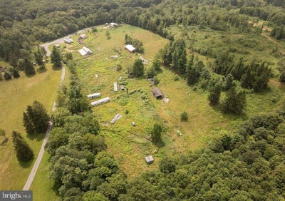 /international/us/1055-old-wilson-road-swanton-md-110120508756/