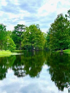 /international/us/2642-francis-marion-boulevard-summerton-sc-110101865134/