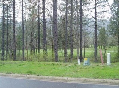 /international/us/1308-green-valley-dr-cave-junction-or-110103191691/
