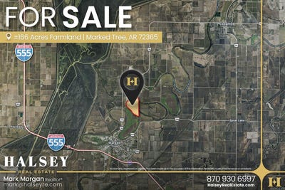 /international/us/166-41-acres-marked-tree-ar-110107319497/