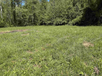 /international/us/0-lot-2-country-rd-70-proctorville-oh-110102563580/