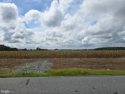 /international/us/lot-4-gray-road-dagsboro-de-110101721560/