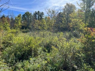 /international/us/l16-4-duanesberg-road-duanesburg-ny-110102426113/