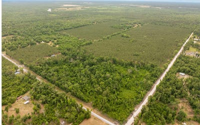 /international/us/180th-street-live-oak-fl-110107717824/