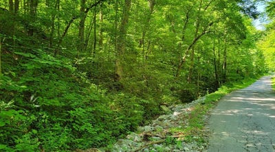 /international/us/888-hazel-patch-road-east-bernstadt-ky-110101436148/?lang=zh-tw