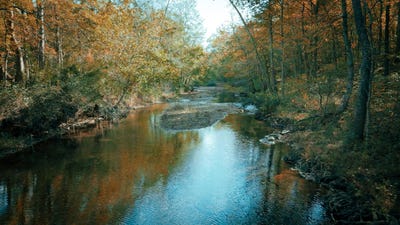 /international/us/8955-hwy-147-stewart-tn-110103302332/
