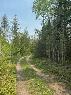 /international/us/w-m-134-hwy-hessel-mi-110099961945/