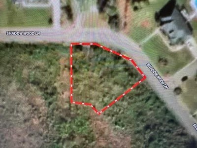 /international/us/shadow-woods-lane-lot-21-blk-c-ozark-al-110108203979/