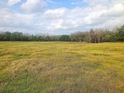 /international/us/farm-to-market-532-schulenburg-tx-110102576339/