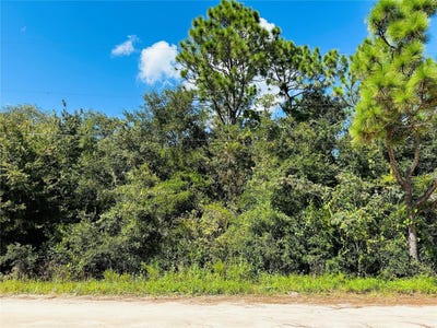 /international/us/106-sunland-drive-satsuma-fl-110094800144/