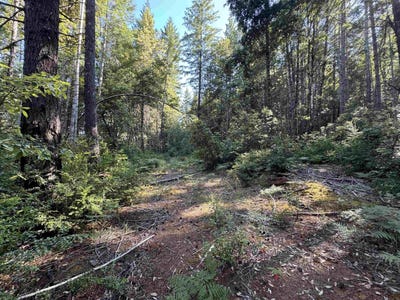 /international/us/fox-ridge-road-crescent-city-ca-110101171114/?lang=zh-tw