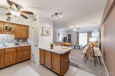 /international/us/3107-garnette-drive-bridgeton-mo-110102988163/