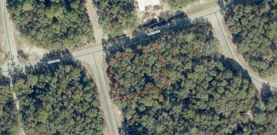 /international/us/8011-1373-13-sw-148-street-ocala-fl-110120419900/