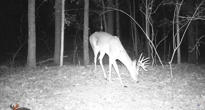 /international/us/cr-3216-dekalb-tx-110104854089/