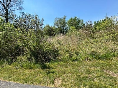 /international/us/267-268-wild-pony-court-lot-267-8-chincoteague-va-110108200302/