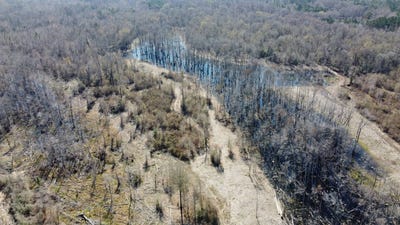 /international/us/1201-mouth-of-the-creek-road-merryville-la-110105286198/