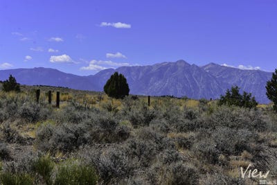 /international/us/1167-out-r-way-lot-1-gardnerville-nv-110094990631/?lang=zh-tw