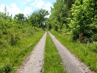 /international/us/0-allenton-road-pine-apple-al-110092163038/