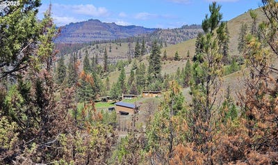 /international/us/47345-ritter-rd-ritter-or-110101519179/