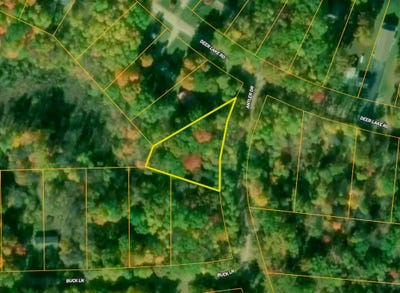 /international/us/antler-drive-lot-82-harrison-mi-110108641106/