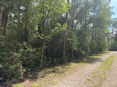 /international/us/pamela-pl-lot-18-sopchoppy-fl-110108783817/