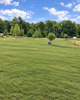 /international/us/hwy-64-lexington-al-110120456903/