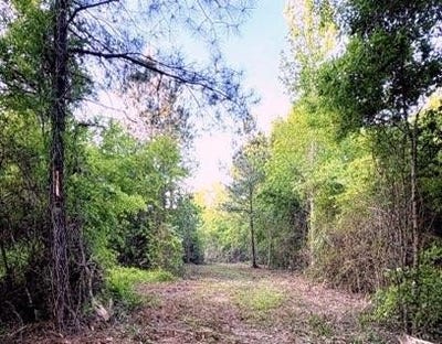 /international/us/darron-hodge-lane-poplarville-ms-110105395817/