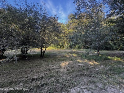 /international/us/650-liberty-road-lot-a-picayune-ms-110120021562/
