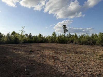 /international/us/6-2-acres-mt-bethel-rd-sandy-hook-ms-110107992346/
