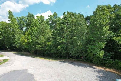 /international/us/weatherton-trail-lot-4-harpersville-al-110098072324/