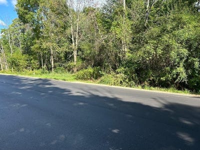 /international/us/polp-centerline-newaygo-mi-110110343826/