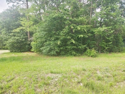 /international/us/164-park-place-sylvester-ga-110108334018/