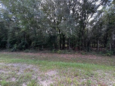 /international/us/solomon-dairy-road-quincy-fl-110101167899/?lang=zh-tw
