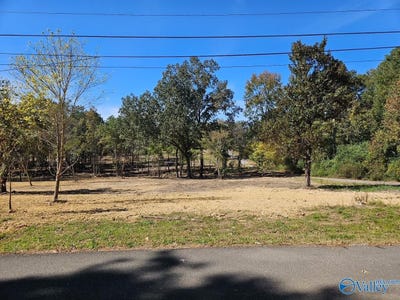 /international/us/tol-street-lot-5-centre-al-110103102175/