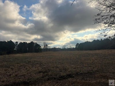 /international/us/miller-county-529-lot-21-fouke-ar-110106677443/