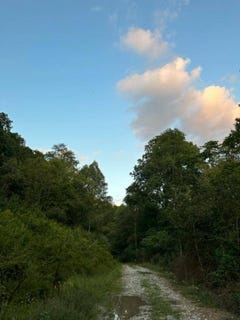 /international/us/000-contrary-road-louisa-ky-110100325108/