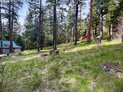 /international/us/forest-dell-ave-wallowalake-or-110101499332/
