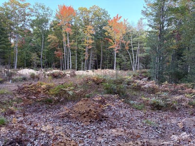 /international/us/indian-oaks-trail-lot-20-prudenville-mi-110120149792/