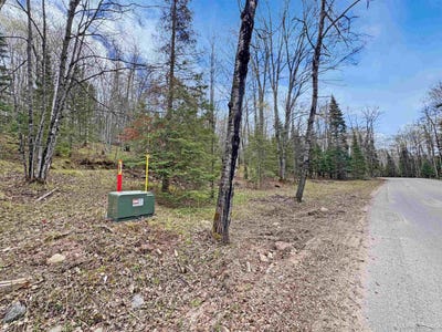 /international/us/176-e-lake-emily-road-crystal-falls-mi-110106255284/