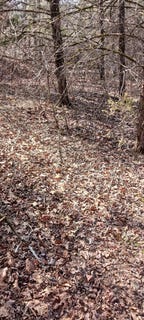 /international/us/crestview-drive-lot-26-theodosia-mo-110102320251/