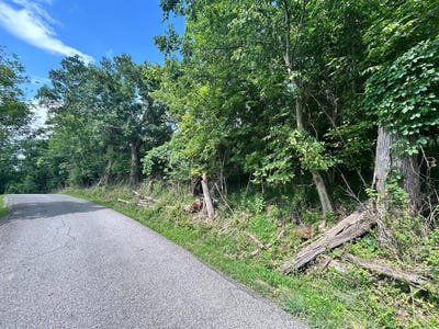 /international/us/0-willard-road-parkersburg-wv-110101024978/