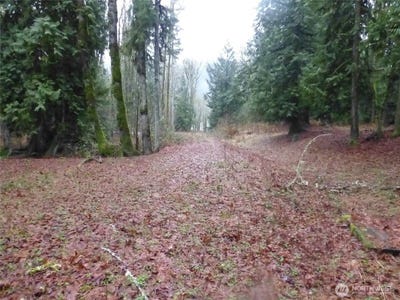 /international/us/7206-pinot-noir-lane-concrete-wa-110108299994/
