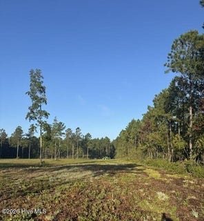 /international/us/nc-306-grantsboro-nc-110120499578/