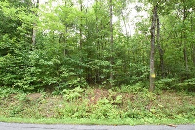 /international/us/lot-12-hibbard-road-big-flats-ny-110097569464/