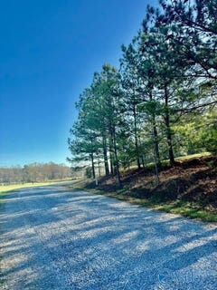 /international/us/741-poplar-springs-trail-ashville-al-110107440323/