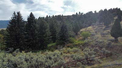 /international/us/hillside-dr-soda-springs-id-110103114653/
