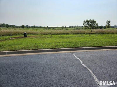 /international/us/kyle-court-lot-89-metamora-il-110087090015/