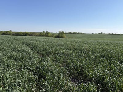 /international/us/h-highway-415th-street-ford-city-mo-110097014954/