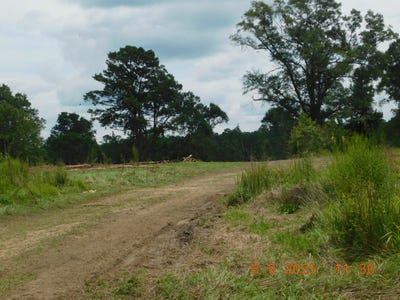 /international/us/000-ward-loop-columbia-ms-110101477318/?lang=it